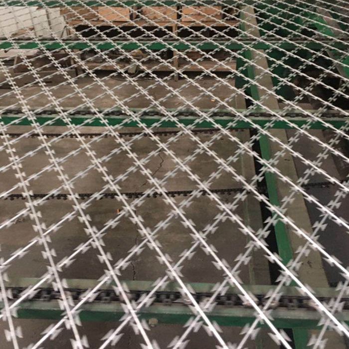 razor wire (7)